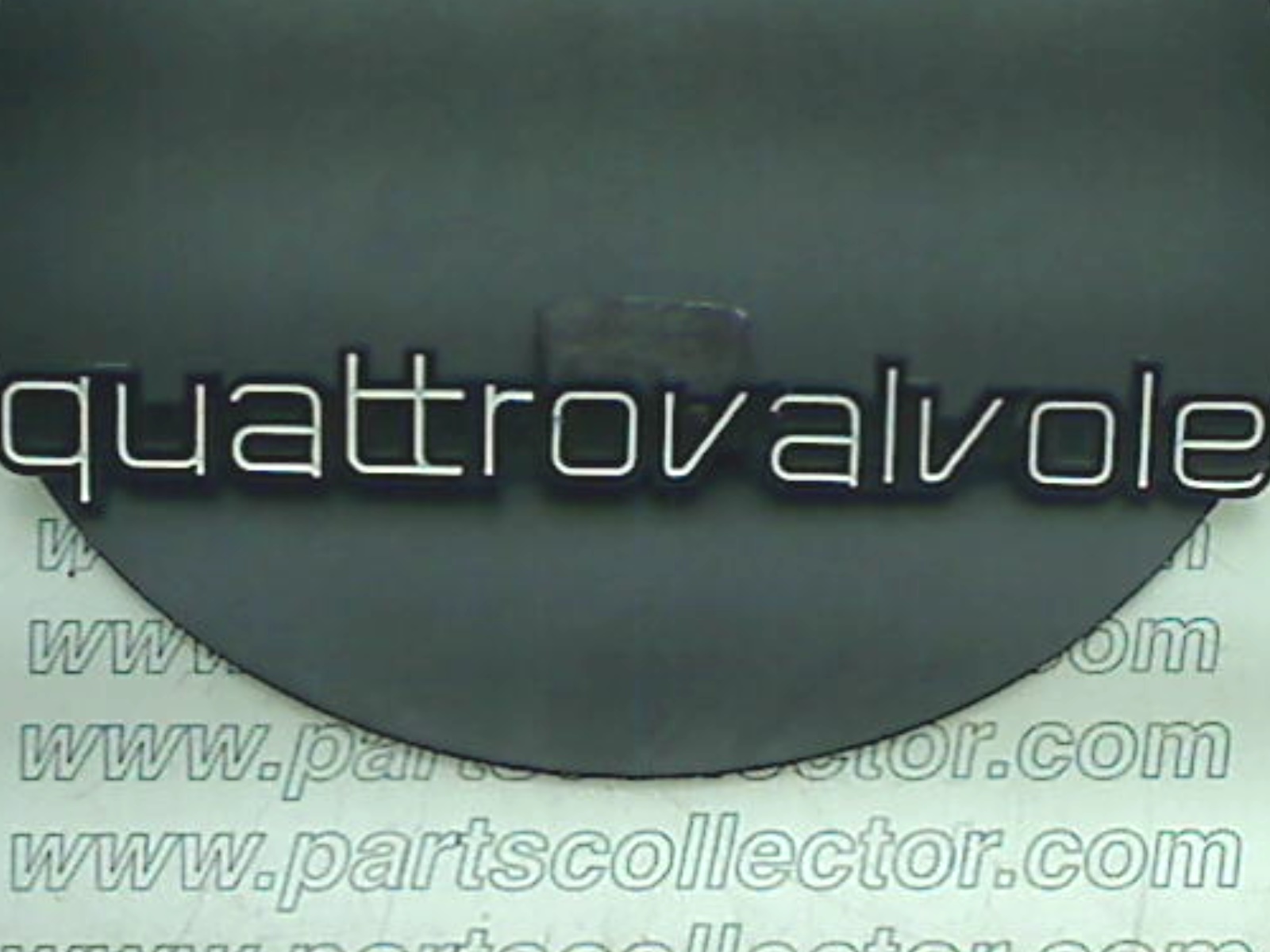 QUATTROVALVOLE BADGE